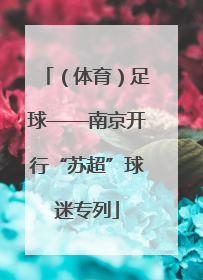 （体育）足球——南京开行“苏超”球迷专列